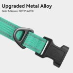 Joytale Reflective Dog Collar, Adjustable Neoprene Padded, Teal L - Image 3