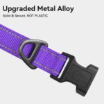 Joytale Reflective Dog Collar, Adjustable Neoprene Padded, Purple M - Image 3