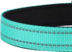 Reflective Dog Collar, Adjustable Soft Neoprene Padded,Teal,M - Image 5