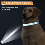 Reflective Dog Collar, Adjustable Soft Neoprene Padded,Teal,M - Image 6