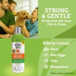 Natural Care Flea & Tick Dog Shampoo, Flea & Tick Treatment, 12oz - Image 4
