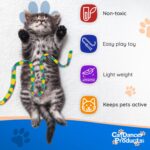 Cat Dancer Products Charmer Interactive Cat Toy - Image 5