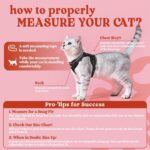 rabbitgoo Cat Harness and Leash Set, Escape Proof Vest, Black - Image 2