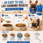 Shakers Dog Meal Toppers, Blueberry Muffin, Non-GMO, 3 Pack - Image 5