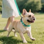 Joytale Reflective Dog Collar, Adjustable Neoprene Padded, Teal M - Image 5