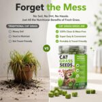 Cat Grass for Indoor Cats, Natural Cat Grass Treats - Image 3