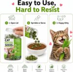 Cat Grass for Indoor Cats, Natural Cat Grass Treats - Image 4