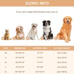 Donut Small Dog Bed Round Calming Kitten & Puppy Bed,20in White - Image 4