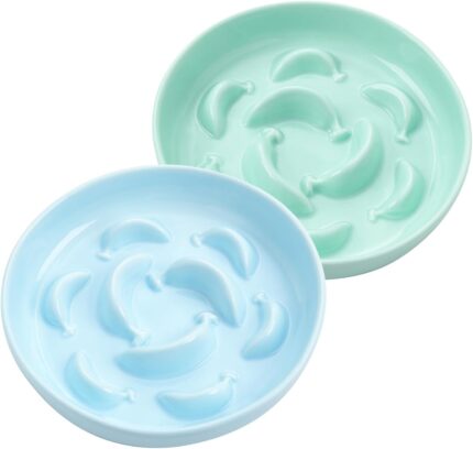 2 Pack Ceramic Cat Slow Feeder Bowl Set, 6.3" Wide, Slow Eating 5X