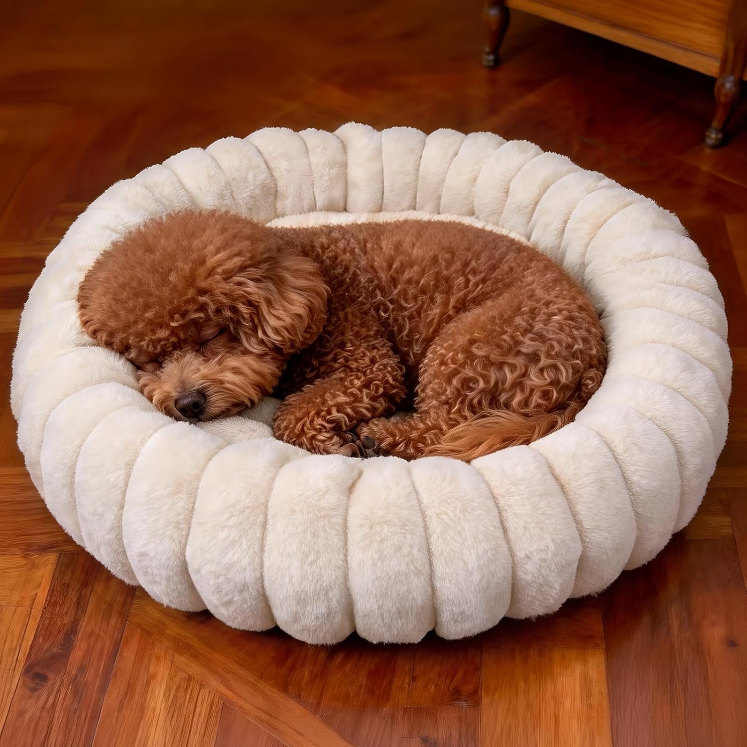 Donut Small Dog Bed Round Calming Kitten & Puppy Bed,20in White Donut Small Dog Bed Round Calming Kitten & Puppy Bed,20in White