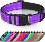 Joytale Reflective Dog Collar, Adjustable Neoprene Padded, Purple M