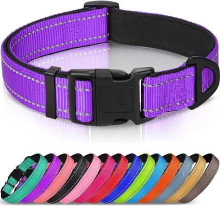 Joytale Reflective Dog Collar, Adjustable Neoprene Padded, Purple M