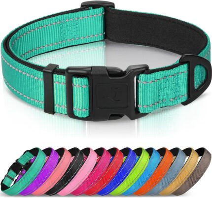 Joytale Reflective Dog Collar, Adjustable Neoprene Padded, Teal L