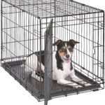 Midwest 30-Inch Single Door iCrate, for Medium Breeds, 21-40 lbs