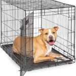 Midwest 36-Inch Single Door iCrate, for Medium-Large Breeds, 41-70 lbs