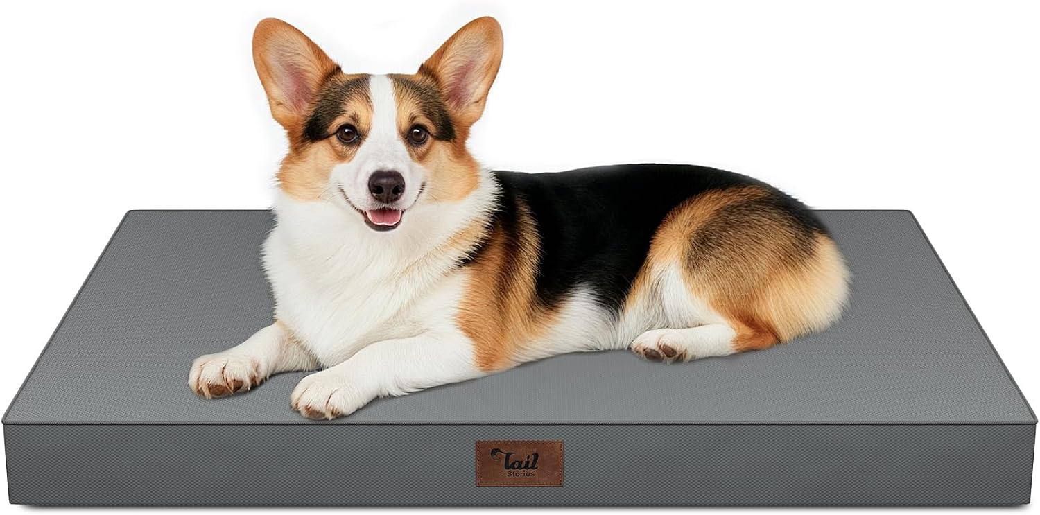 Outdoor Waterproof Orthopedic Dog Bed for Large Dogs Outdoor Waterproof Orthopedic Dog Bed for Large Dogs