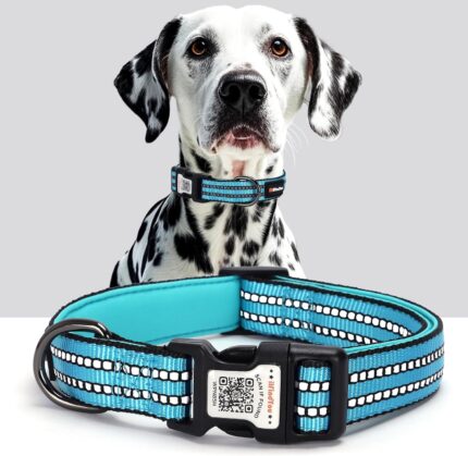 Personalized Dog Collar with QR Code Dog Tag, Light Blue M