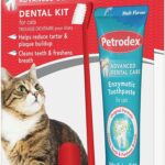 Petrodex Dental Care Kit for Cats, Cat Toothbrush and Toothpaste, Cleans Teeth and Fights Bad Breath, Reduces Plaque Tartar Formation, Malt Flavor, 2.5oz Toothpaste + Toothbrush