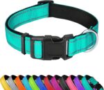 Reflective Dog Collar, Adjustable Soft Neoprene Padded,Teal,M