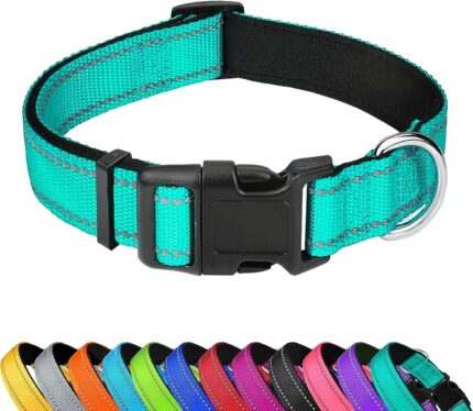 Reflective Dog Collar, Adjustable Soft Neoprene Padded,Teal,M