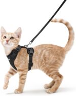rabbitgoo Cat Harness and Leash Set, Escape Proof Vest, Black