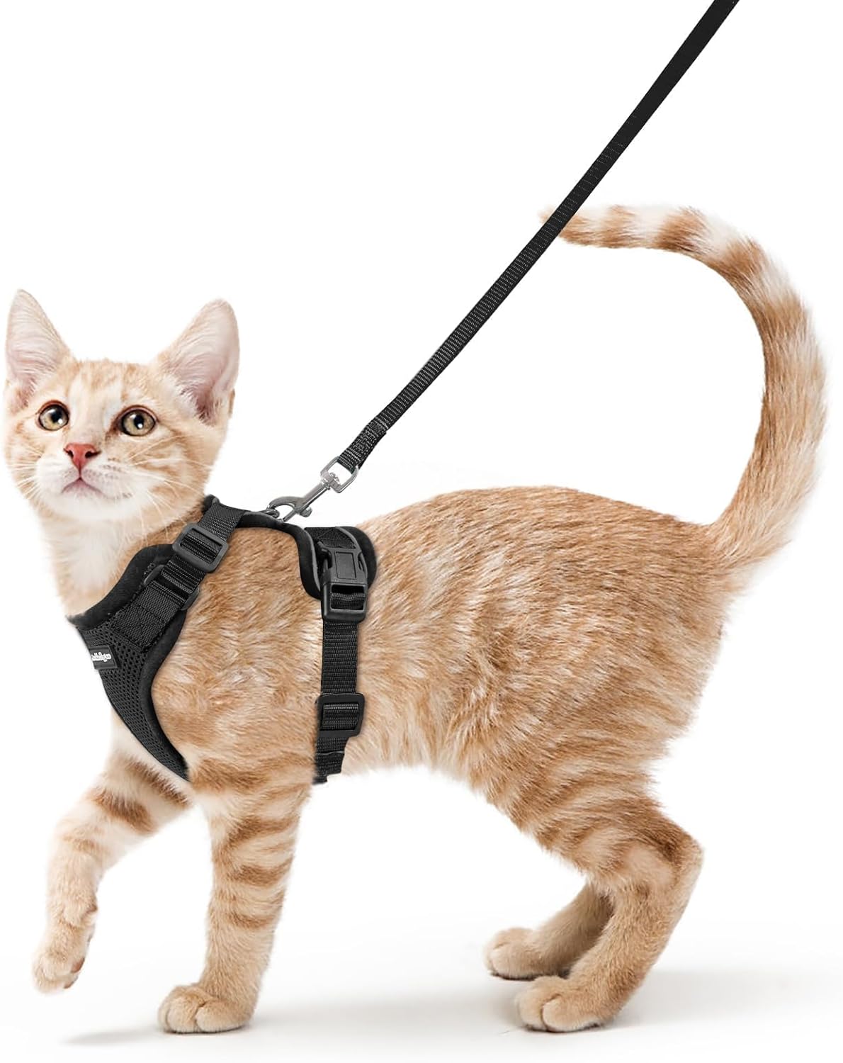 rabbitgoo Cat Harness and Leash Set, Escape Proof Vest, Black rabbitgoo Cat Harness and Leash Set, Escape Proof Vest, Black