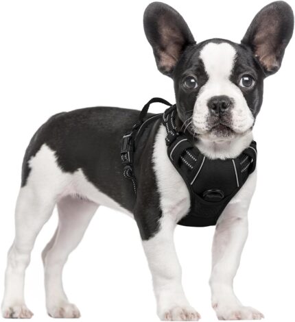 rabbitgoo Dog Harness, No Pull for Small Dogs with 2 Leash Clips, Pet Vest
